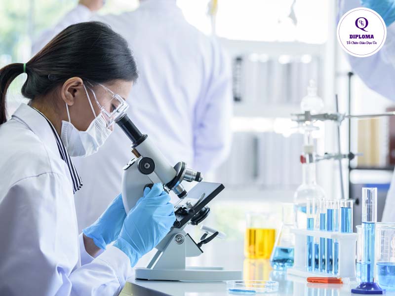 Nhóm đối tượng xin học bổng du học Úc