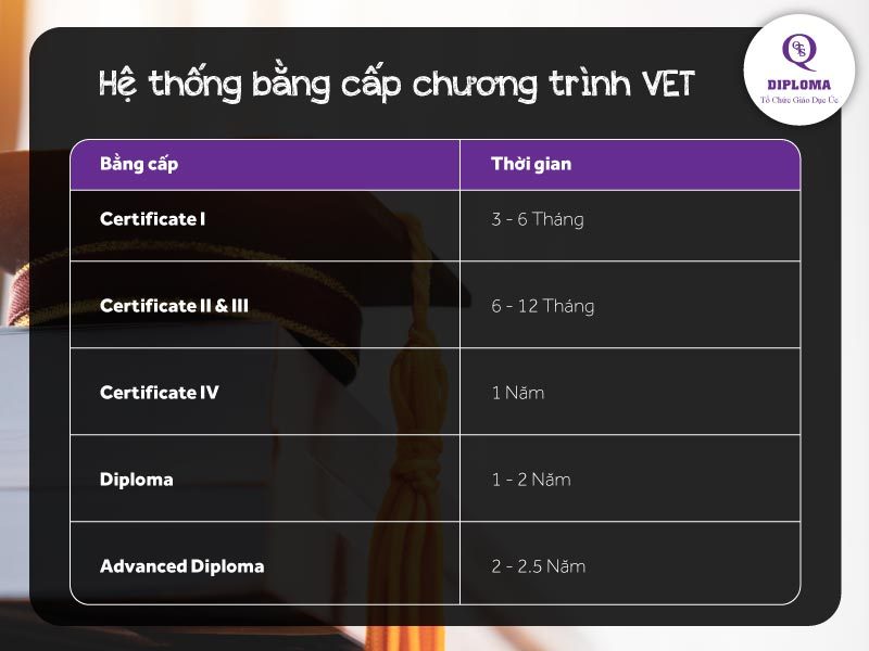 2. He thong bang 800x600 1 hệ thống bằng cấp úc