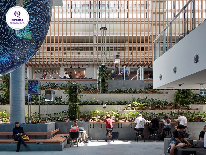 Đại Học Công Nghệ Queensland luôn thu hút nhiều du học sinh Việt
