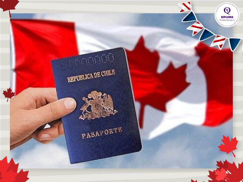 Xin visa trước khi tốt nghiệp