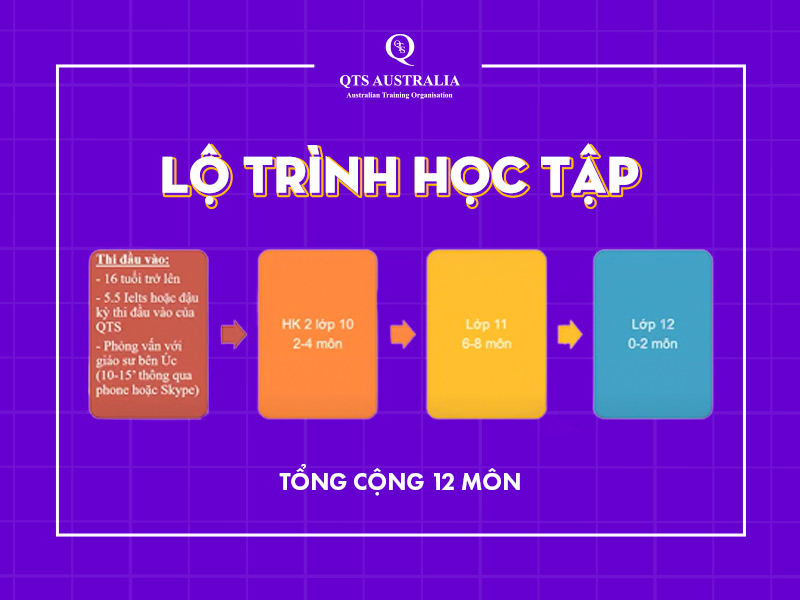 Hình lộ trình học tập tối ưu cho học sinh trường THPT Thực nghiệm Khoa Học Giáo Dục