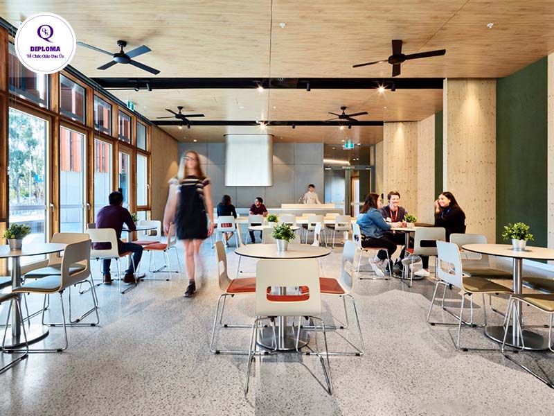 Điều kiện đầu vào trường đại học Monash