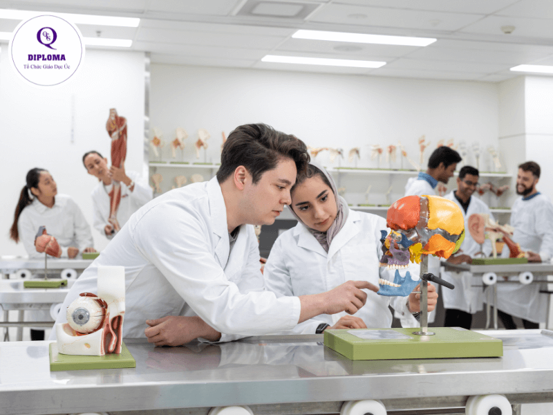 Lộ trình du học Úc ngành y
