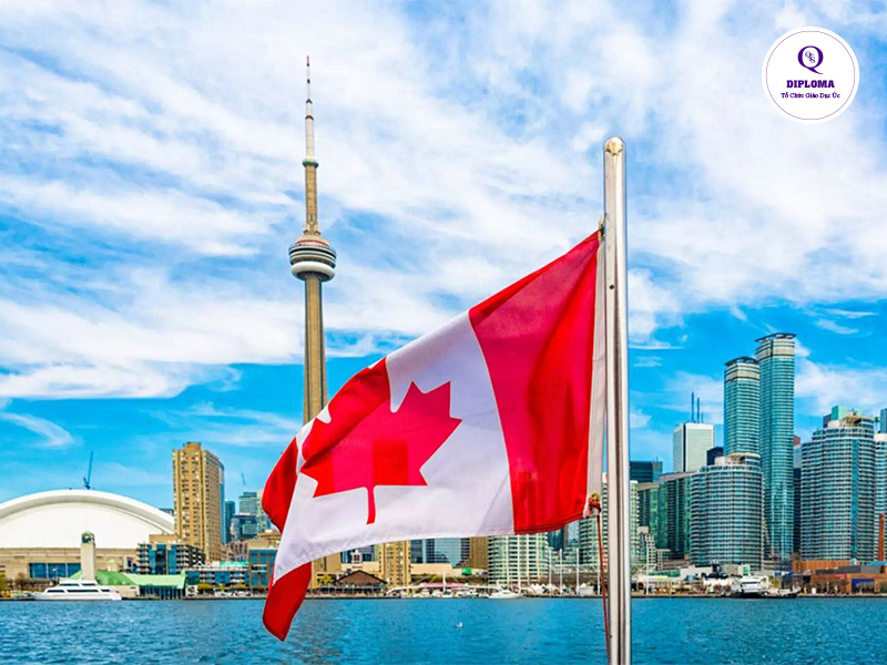 Du học ngành IT chọn Canada - lương vừa cao vừa dễ định cư