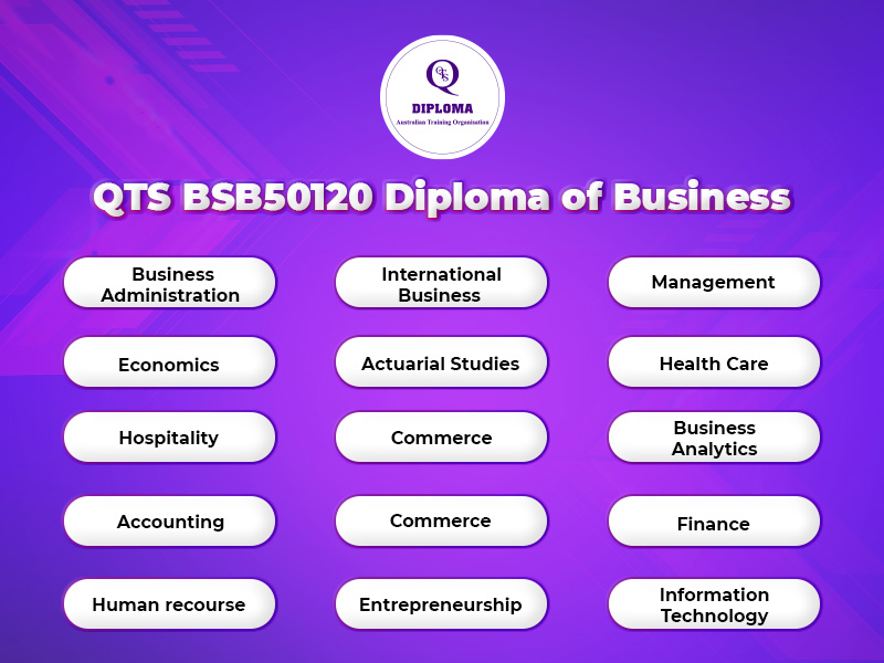 Ngành học chuyển tiếp khi chọn chương trình QTS BSB50120 Diploma of Business