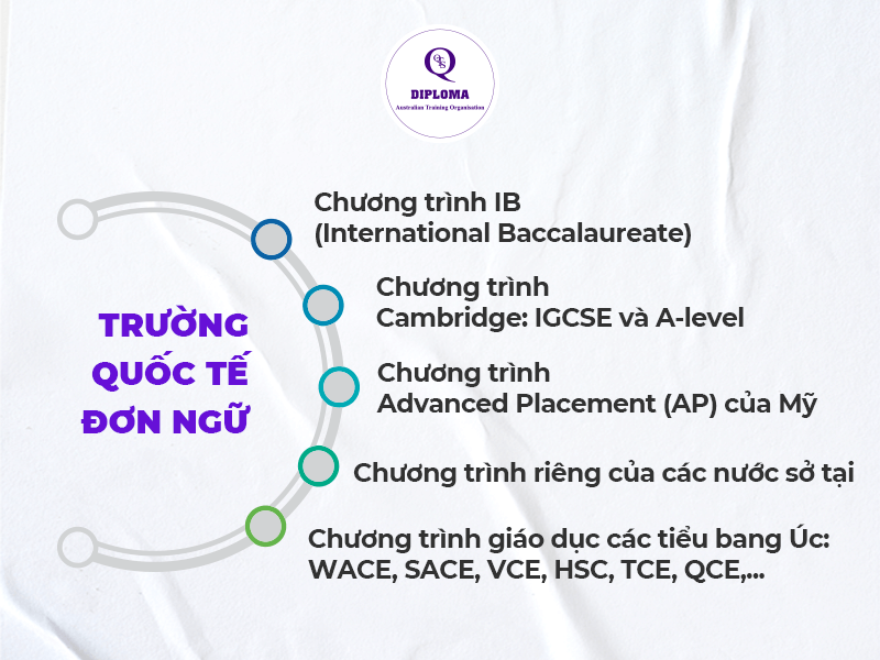 Trường quốc tế đơn ngữ (100% vốn đầu tư nước ngoài)