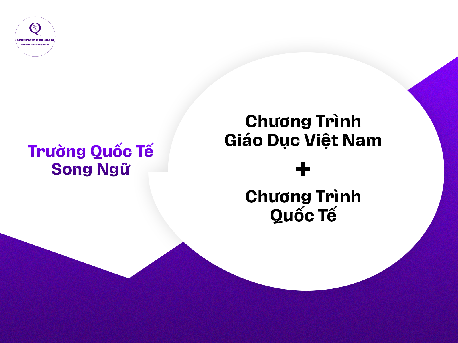 4 1 Trường quốc tế song ngữ (trường có chương trình giáo dục tích hợp hoặc có yếu tố nước ngoài liên doanh/liên kết)